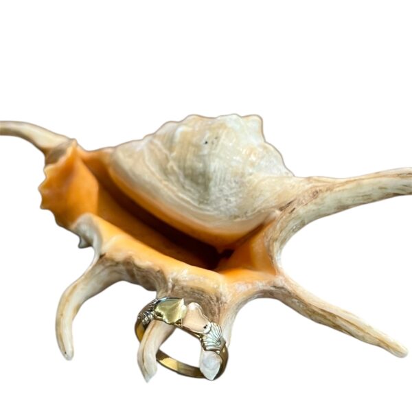 Anello doppio cuore bicolor