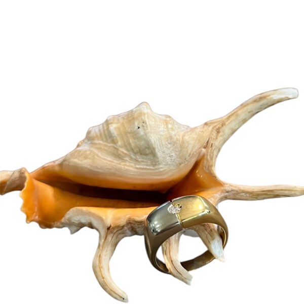 Anello bicolor in oro