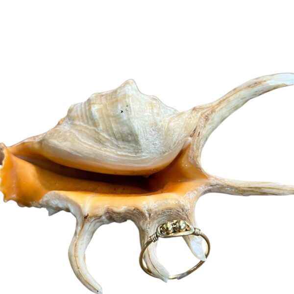 Anello doppio inserto
