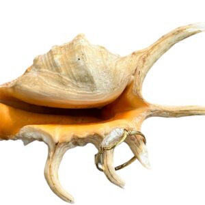 Anello perla di fiume