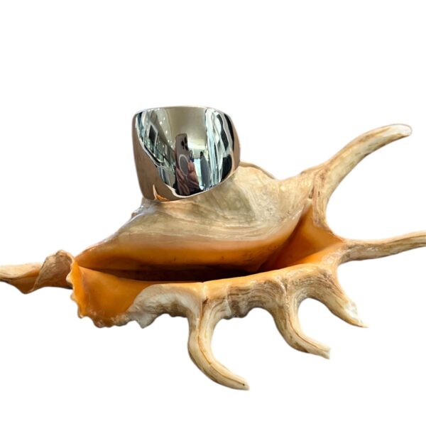 Anello fascia in oro bianco