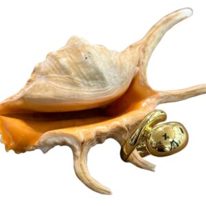 Anello Snake
