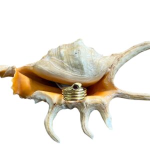 Anello serpente e rubino