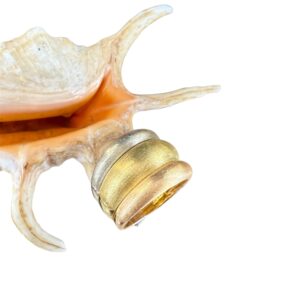 Anello in oro satinato