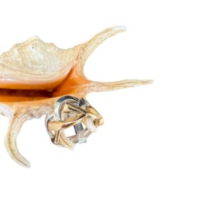 Anello intreccio