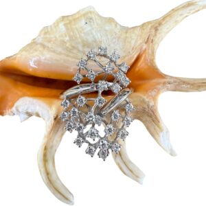 Anello stellato